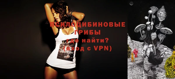 шишки Богданович