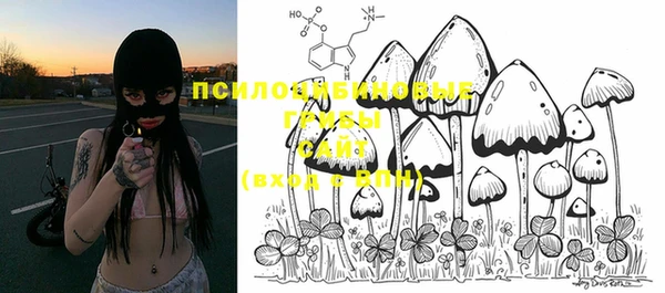 MDMA Богородицк