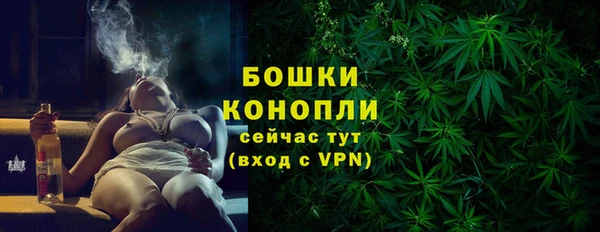 шишки Богданович
