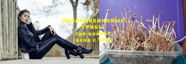 шишки Богданович